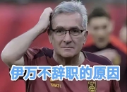 包含伊万下课已不可逆足协单方面解约无需支付赔偿金的词条