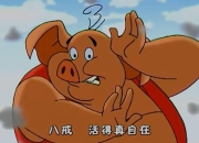 关于聊一聊，你童年暑假时候最爱看的影视剧/动画片的信息