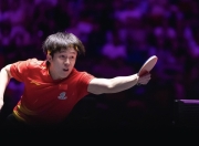 包含王楚钦夺冠后感谢球迷支持：这次的表现没让大家失望的词条