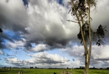 参赛运动员及其球童在比赛中串通修改成绩，中国高尔夫球协会：雷悦文等8名违规人员被禁赛