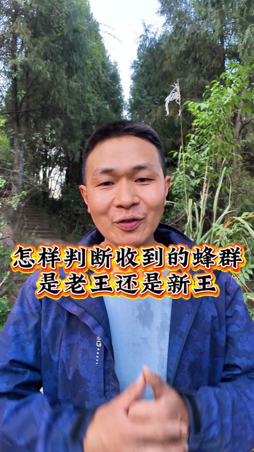 从小王变老王，已经10岁的《王者荣耀》为何还有那么大的号召力的简单介绍
